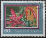 Stamps Hungary -  Bromeliak