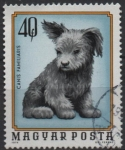 Stamps Hungary -  Cachorro