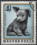 Stamps Hungary -  Cachorro