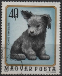 Stamps Hungary -  Cachorro