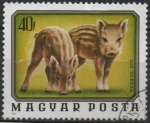 Stamps Hungary -  Animales Jovenes: Jabalies