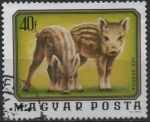 Stamps Hungary -  Animales Jovenes: Jabalies