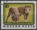 Stamps Hungary -  Animales Jovenes: Jabalies