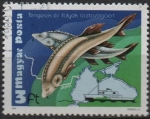 Stamps Hungary -  Sturgeons y Mapa d' Danube