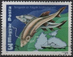 Stamps Hungary -  Sturgeons y Mapa d' Danube