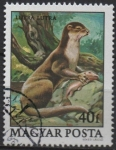 Stamps Hungary -  Protecion d' l' Fauna: Nutria