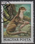 Stamps Hungary -  Protecion d' l' Fauna: Nutria