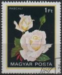 Stamps Hungary -  Rosas. Pascali