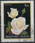 Stamps Hungary -  Rosas. Pascali