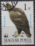 Stamps Hungary -  Aguila heliaca