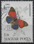 Stamps Hungary -  Mariposas, Agra sara