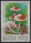 Stamps Hungary -  Setas comestibles: Marasmius oreades