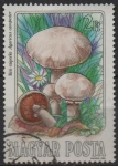 Stamps Hungary -  Setas comestibles: Campester Agaricus