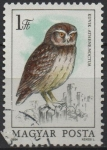 Stamps Hungary -  Buhos: Athene noctua