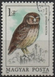 Stamps Hungary -  Buhos: Athene noctua