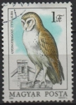 Sellos de Europa - Hungr�a -  Buhos: Tyto alba