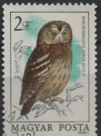 Stamps Hungary -  Buhos: Strix aluco