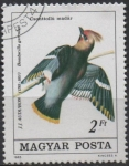 Stamps Hungary -  Colaptes cafer