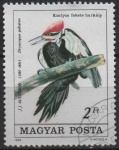 Stamps Hungary -  Pileatus d' Drocopus