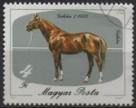 Stamps Hungary -  Caballos: Raza Rubia