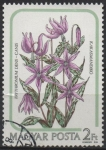 Stamps Hungary -  Erythronium dencanis