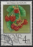 Stamps Hungary -  Frambuesas