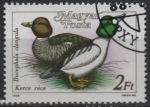 Stamps Hungary -  Patos: Bucephala claugula