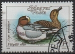 Stamps Hungary -  Patos: Anas penelope