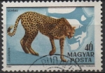 Stamps Hungary -  Gepardo