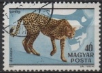 Stamps Hungary -  Gepardo