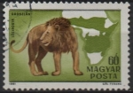Stamps Hungary -  León