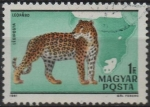 Stamps Hungary -  Leopardo