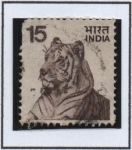 Stamps India -  Tigre