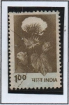 Stamps India -  Algodon