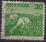 Stamps India -  Cultivo del maíz