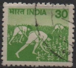 Stamps India -  Cultivo del maíz