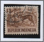 Stamps Indonesia -  Pequeña chevrotain malayo