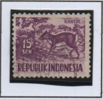 Stamps Indonesia -  Pequeña chevrotain malayo