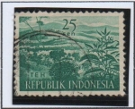 Stamps Indonesia -  Plantación d' te