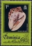 Sellos de America - Dominica -  Conchas