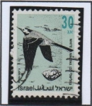 Stamps Israel -  Pajaros. Aguzanieves blanco