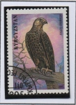 Stamps Kyrgyzstan -  Halcón sacre