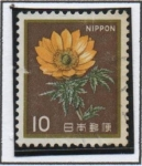 Stamps Japan -  Amur Adonis