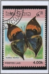 Stamps Laos -  Mariposas, Kallina inachus