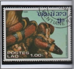 Stamps Laos -  Serpientes, Lampropeltis doliata annulata