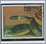 Stamps Laos -  Serpientes, Diadophis amabillis