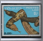 Stamps Laos -  Serpientes, Piyon molurus