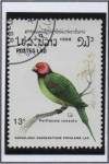 Stamps Laos -  Pájaros, Cotorra carirrosa