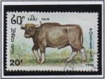 Stamps Laos -  Animales en peligro, Gaur