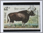 Stamps Laos -  Animales en peligro, Kouprey